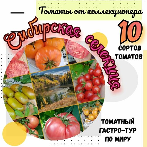 Семена томатов, 10 сортов Сибирской селекции набор из 2х пачек семян крупноплодных сортов баклажан сибирской селекции