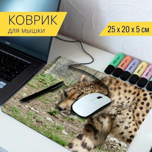 Коврик для мыши с принтом Гепард, кошка, животное 25x20см. коврик для мыши с принтом гепард животное тигр 25x20см