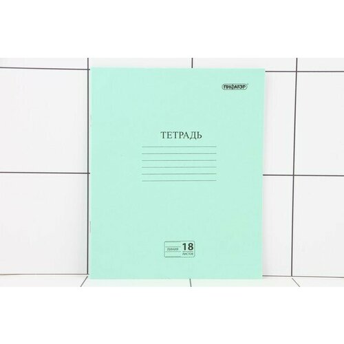Тетрадь 18л линия с полями, зеленая обложка
