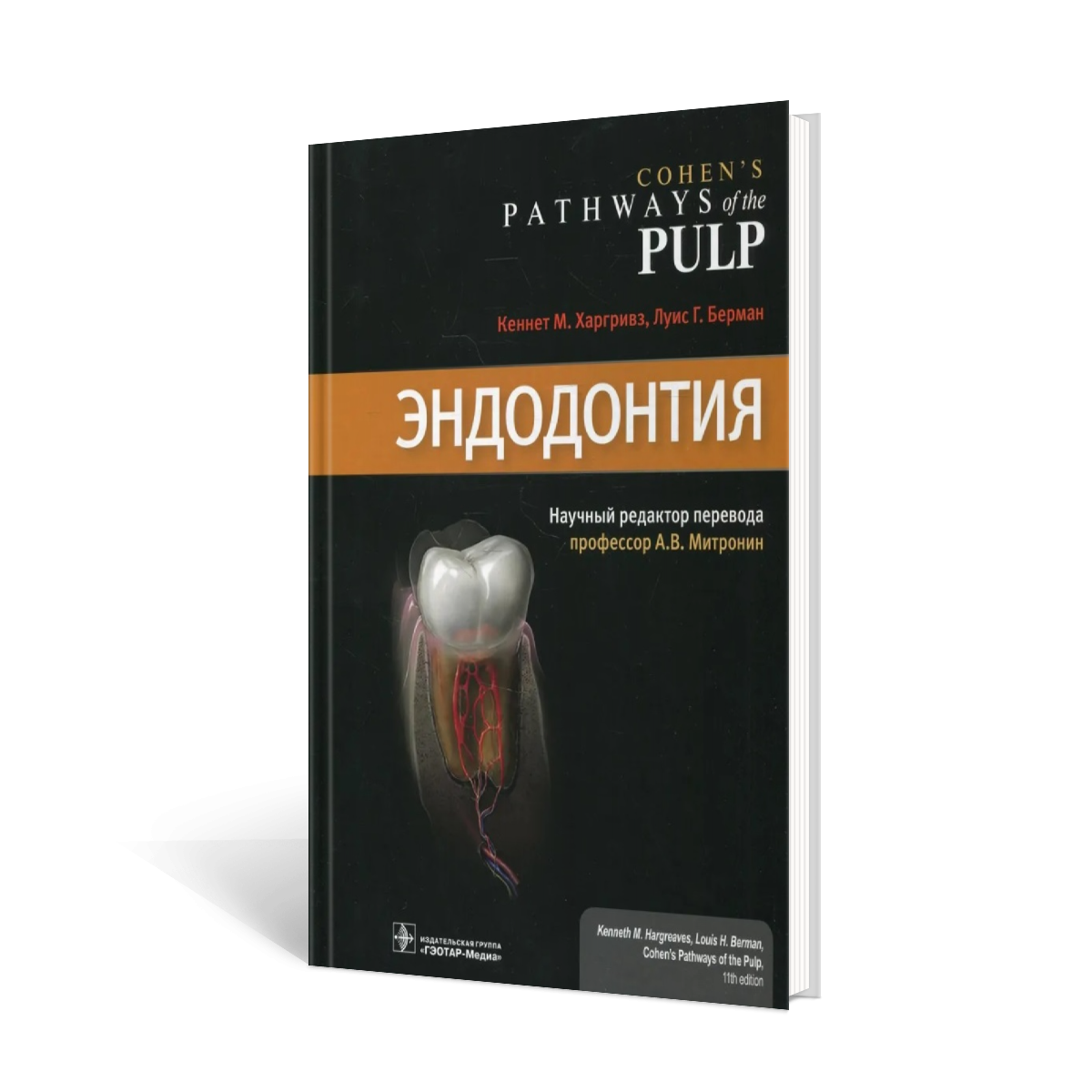 Книга Эндодонтия (Харгривз Кеннет, Ротштейн Илан, Берман Луис) - фото №1