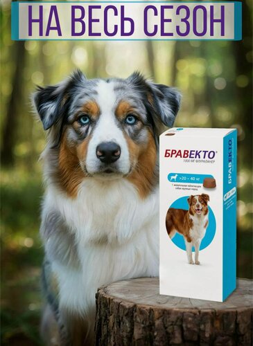 Изображение товара Таблетка жевательная для собак весом от 20 до 40 кг (1000мг)