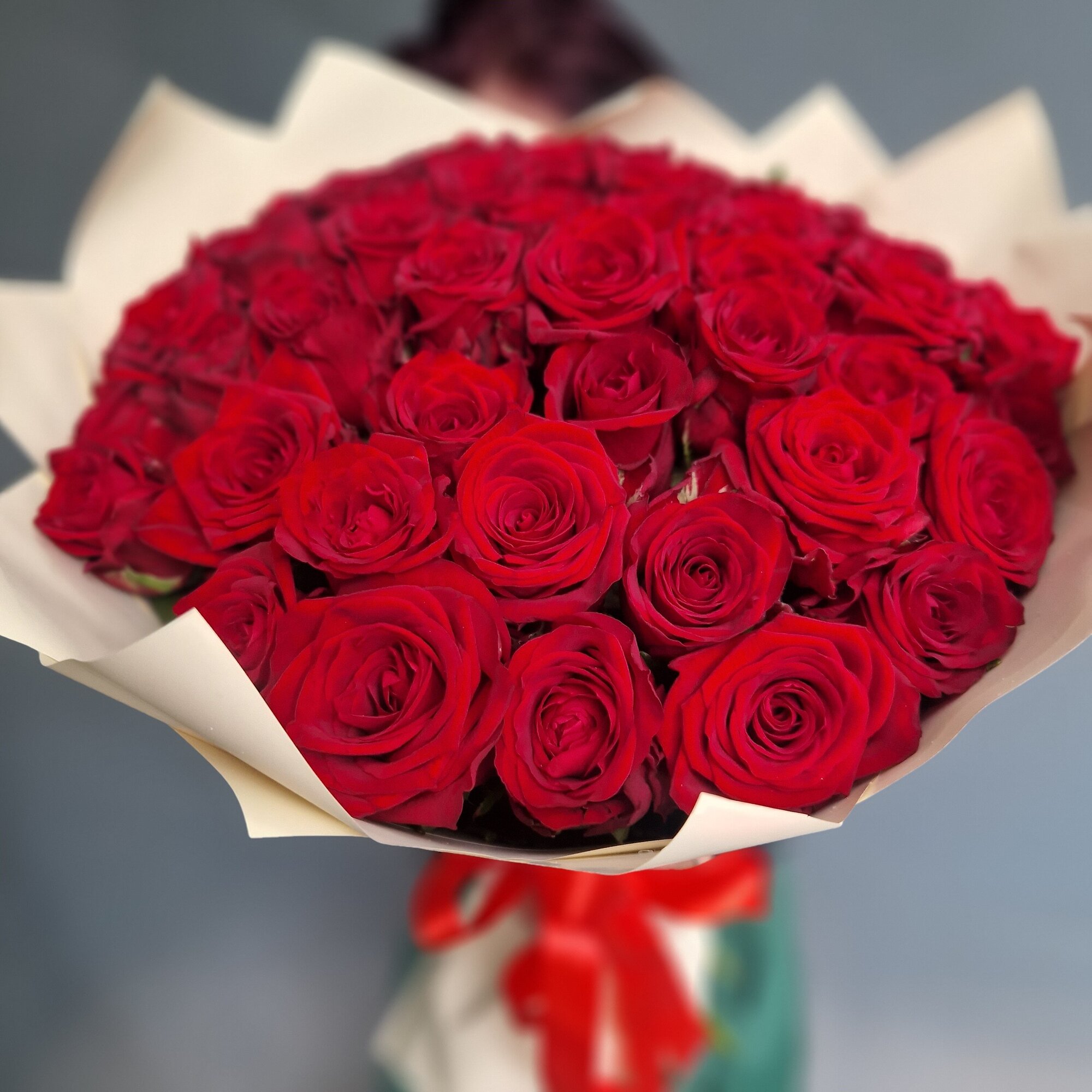 Розы Премиум 51 шт красные в кремовой упаковке высота 50 см арт 12135