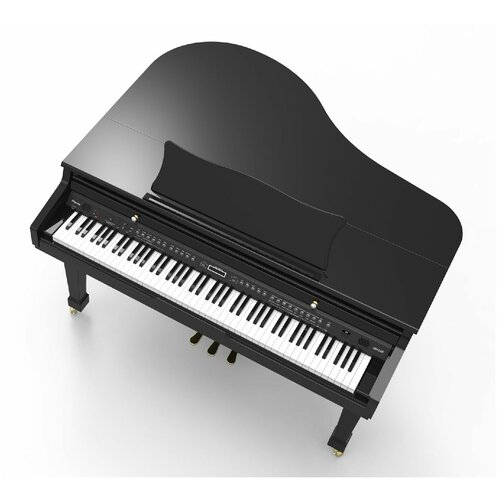 Рояль цифровой Ringway GDP6320 Polish Black цифровые пианино ringway gdp6320 polish black