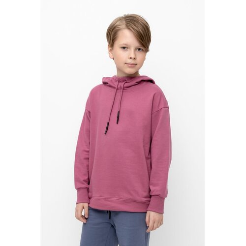 фото Толстовка cubby, размер 164, бордовый