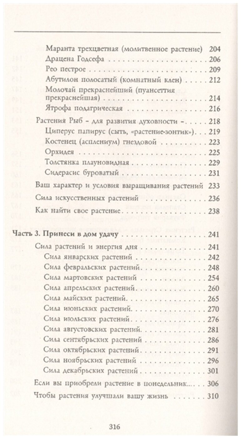 Тайная сила комнатных растений - фото №4