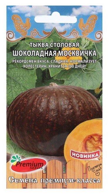 Семена Тыква столовая "Шоколадная Москвичка", 7 шт.