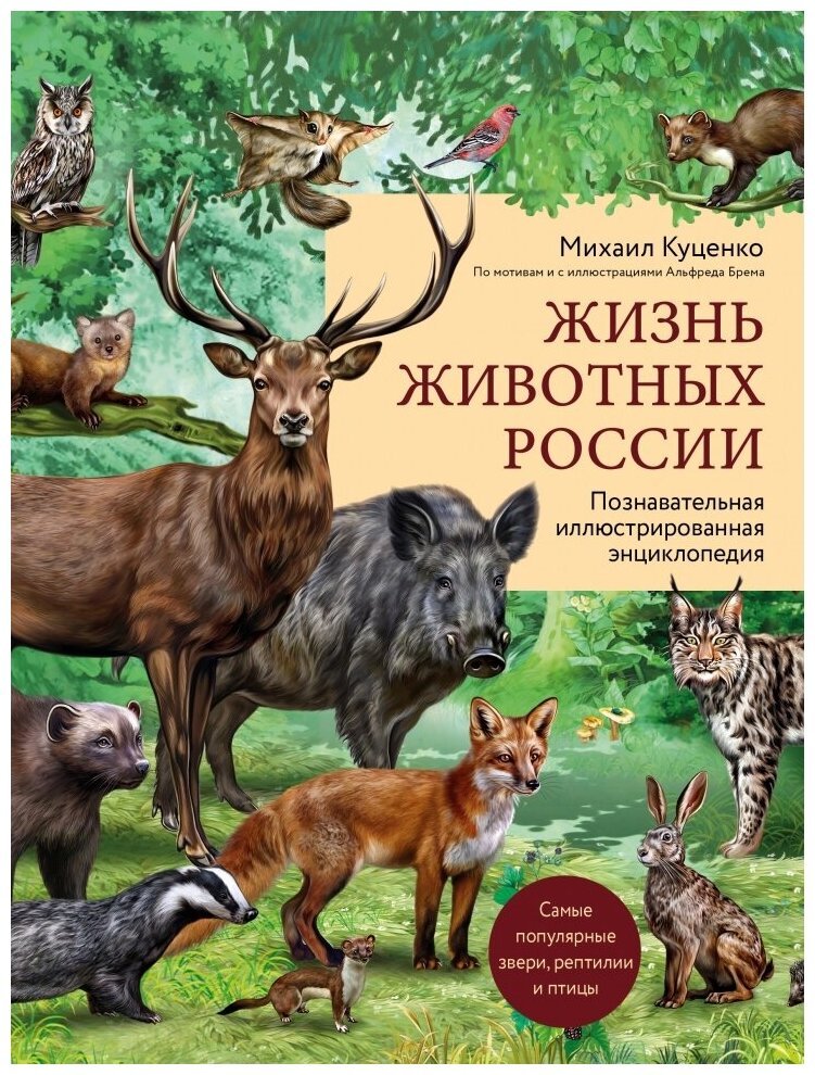 Жизнь животных России. Познавательная иллюстрированная энциклопедия
