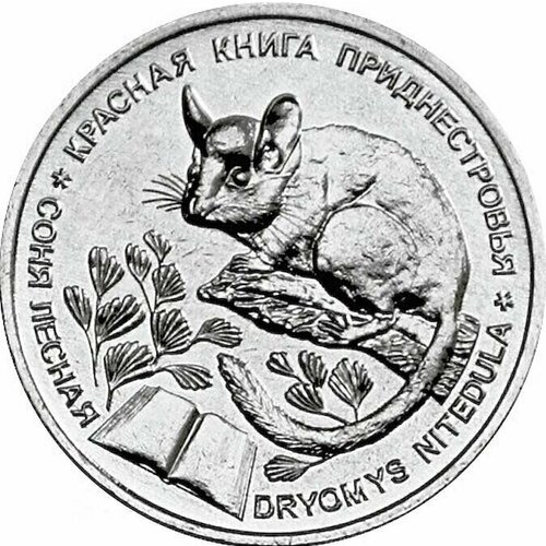 Монета 1 рубль Соня лесная. Красная книга. Приднестровье 2023 UNC приднестровье 1 рубль 2023 соня лесная