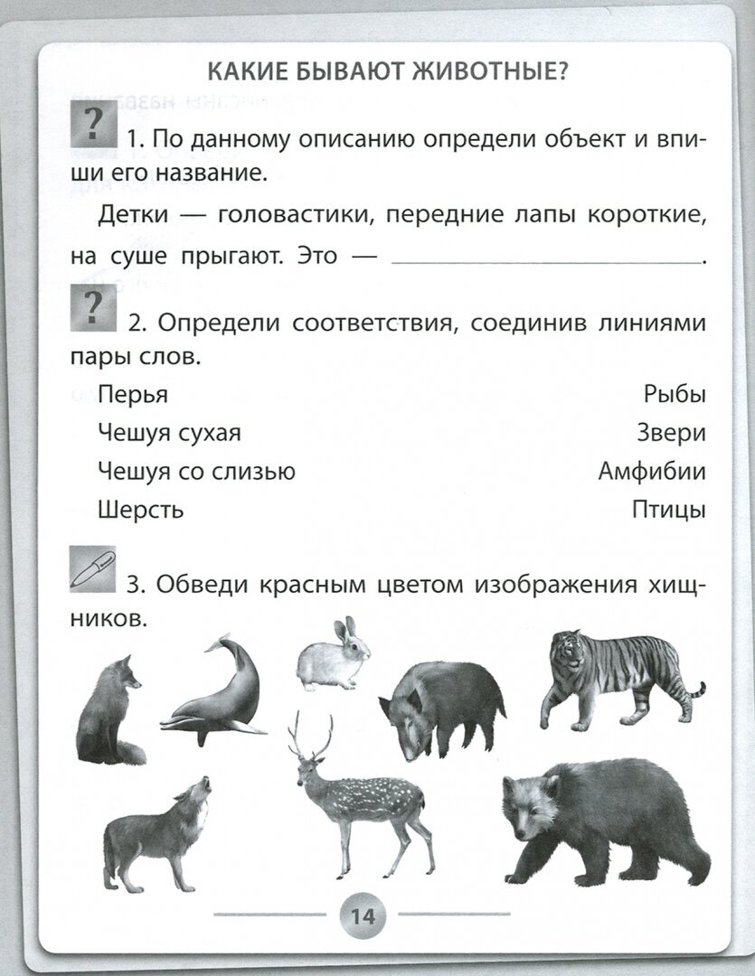 Окружающий мир. 2 класс (Кучук Оксана Владимировна, Цуканова Елизавета Алексеевна) - фото №2