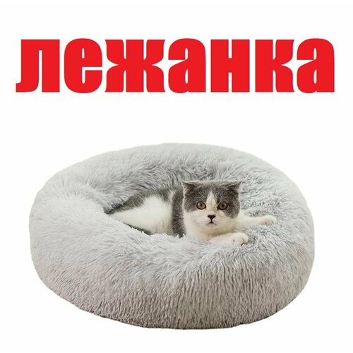 Кровать, Лежак для собак и кошек