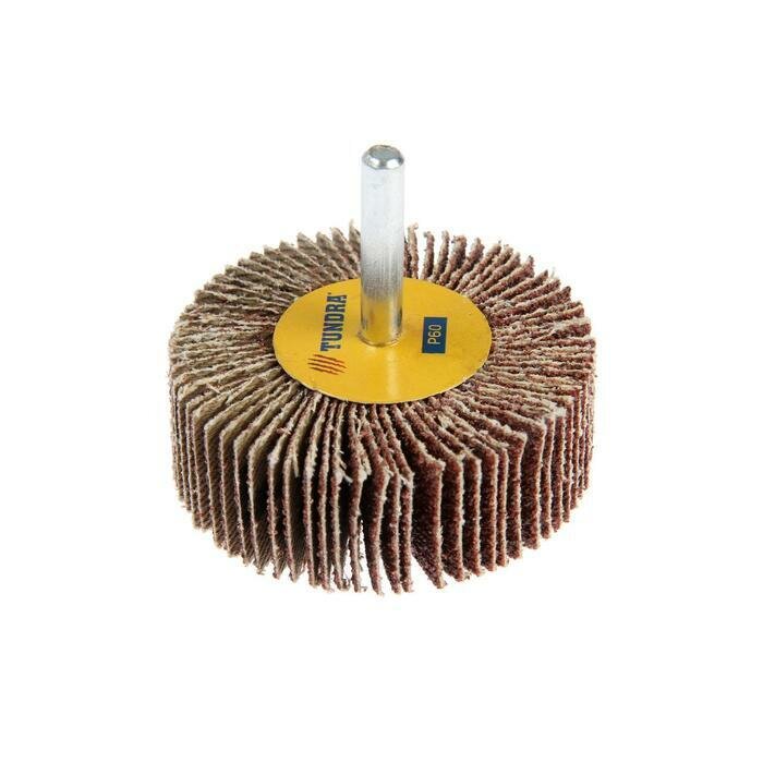 фото Круг лепестковый радиальный , 60 х 20 х 6 мм, Р60