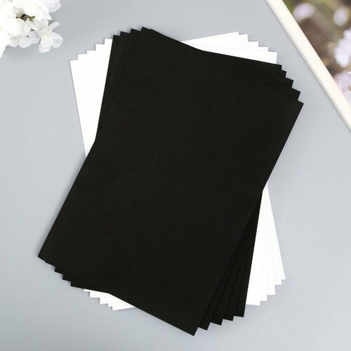 Фоамиран Астра 1 мм 20х30 см набор 10 листов цв черныйбелый 334₽