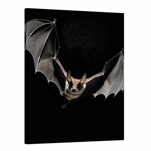 Интерьерная картина 50х70 "Взмахи Летучей мыши"