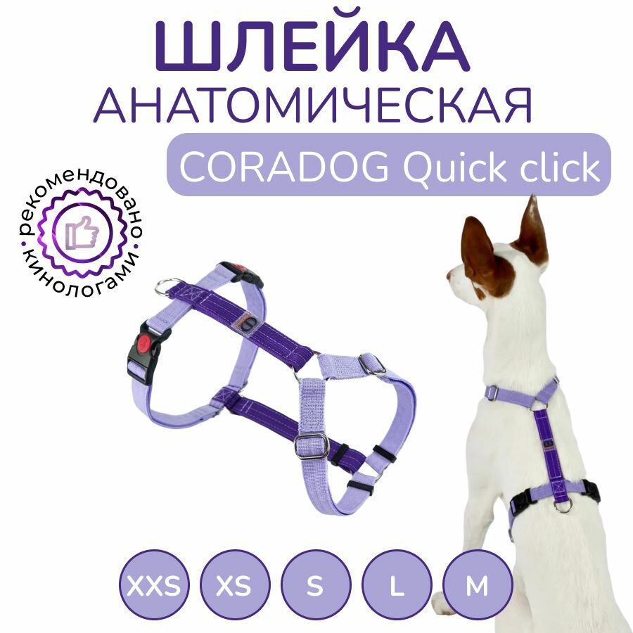 Шлейка прогулочная анатомическая для мелких и средних пород собак, CORADOG Quick click, размер XS, цвет сиреневый, фиолетовый