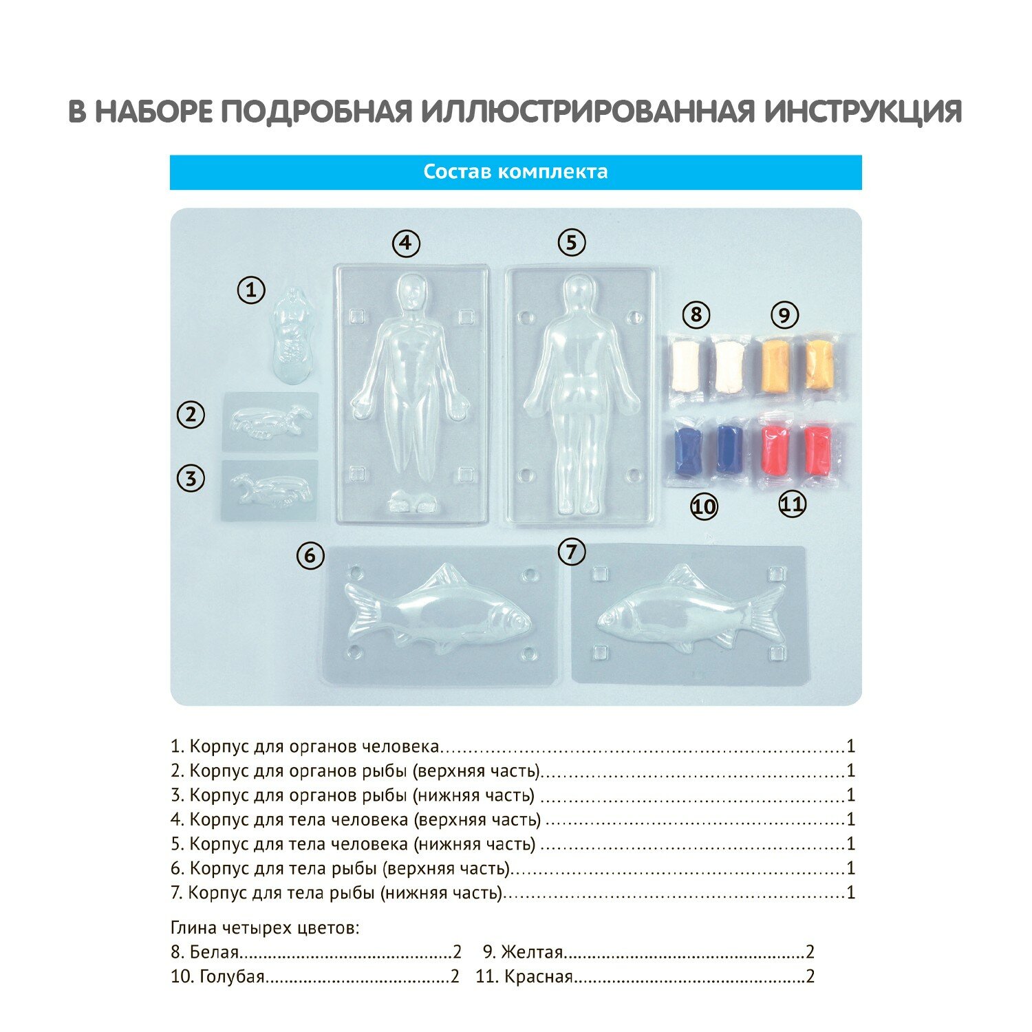 Японские опыты "Науки с Буки. Модель человека" (18401ВВ/196408)