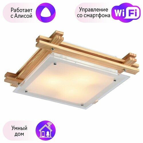 Настенно-потолочный светильник с поддержкой Алисы Комплект от Lustrof 35217 8990₽