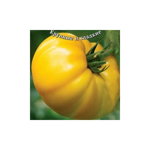 Семена Томат Бизон желтый