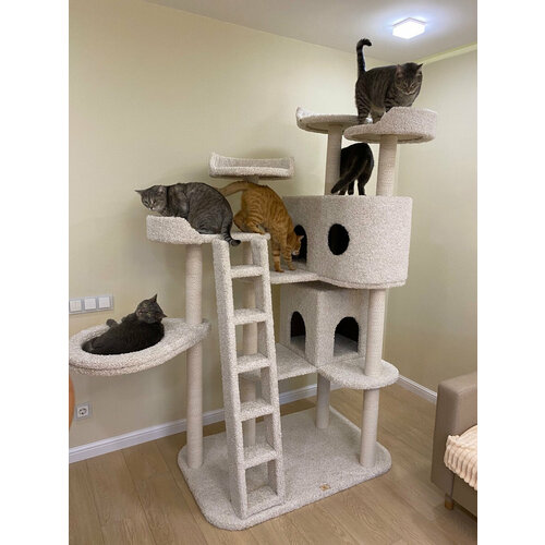 фото Игровой комплекс для кошек, моя котя, 2 домика, гамак и 4 лежанки, "змей горыныч", белый ковролин и хлопковый канат