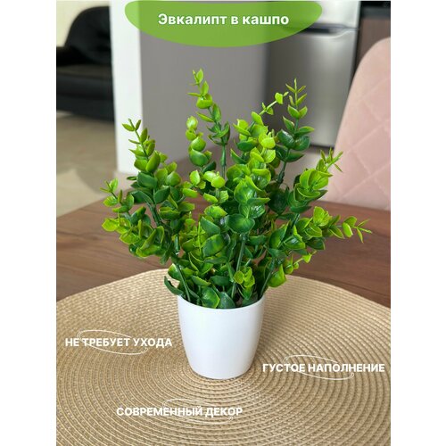 фото Искусственные цветы для декора эвкалипт в кашпо greenhol, высота 22 см