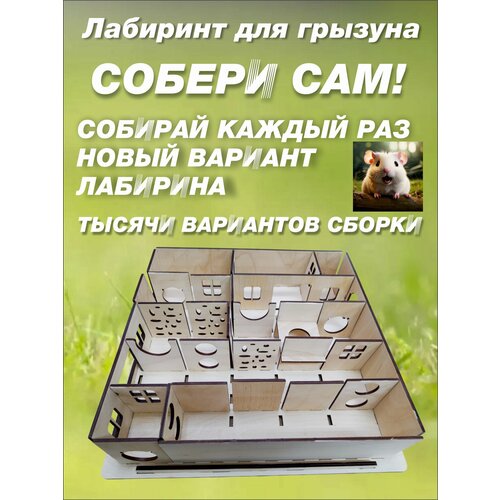 Лабиринт для хомяка
