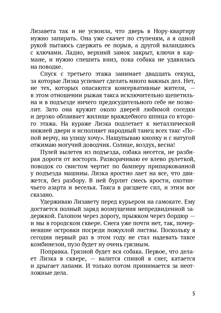 Водитель рыжей таксы — фото 1