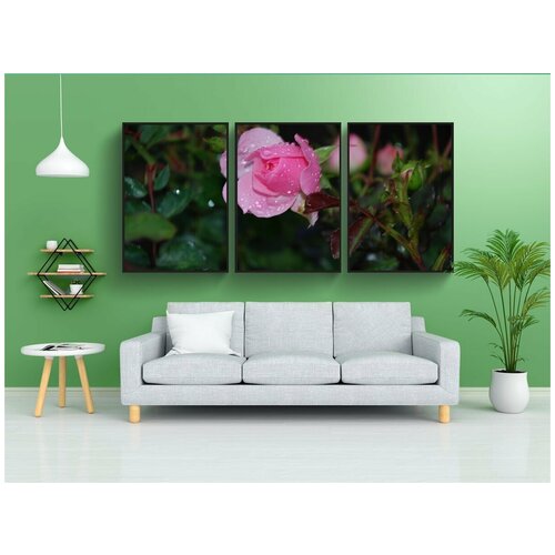 фото Набор модулных постеров для интерьера "розы, розовый, роса" 60x90 см. в тубусе, без рамки lotsprints