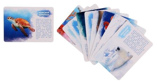 Набор животных с обучающими карточками "Подводный мир", 10 животных