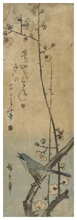 Репродукция на холсте Маленькая певица (1843-1844) (Japanse struikzanger op pruimentak met haiku) Утагава Хиросигэ 30см. x 91см.