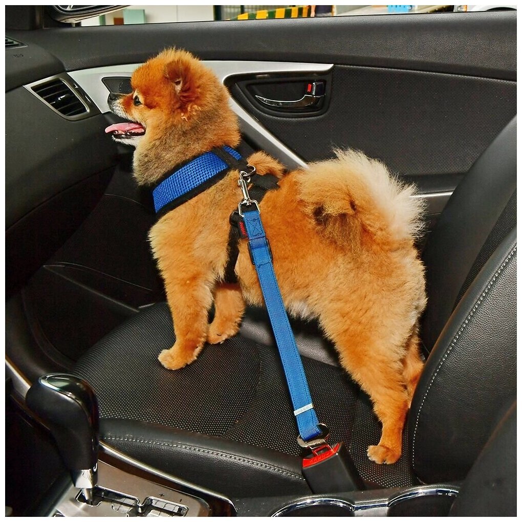 Ремень безопасности для собак автомобильный Puppia , синий, 30-50см (Южная Корея) - фотография № 2