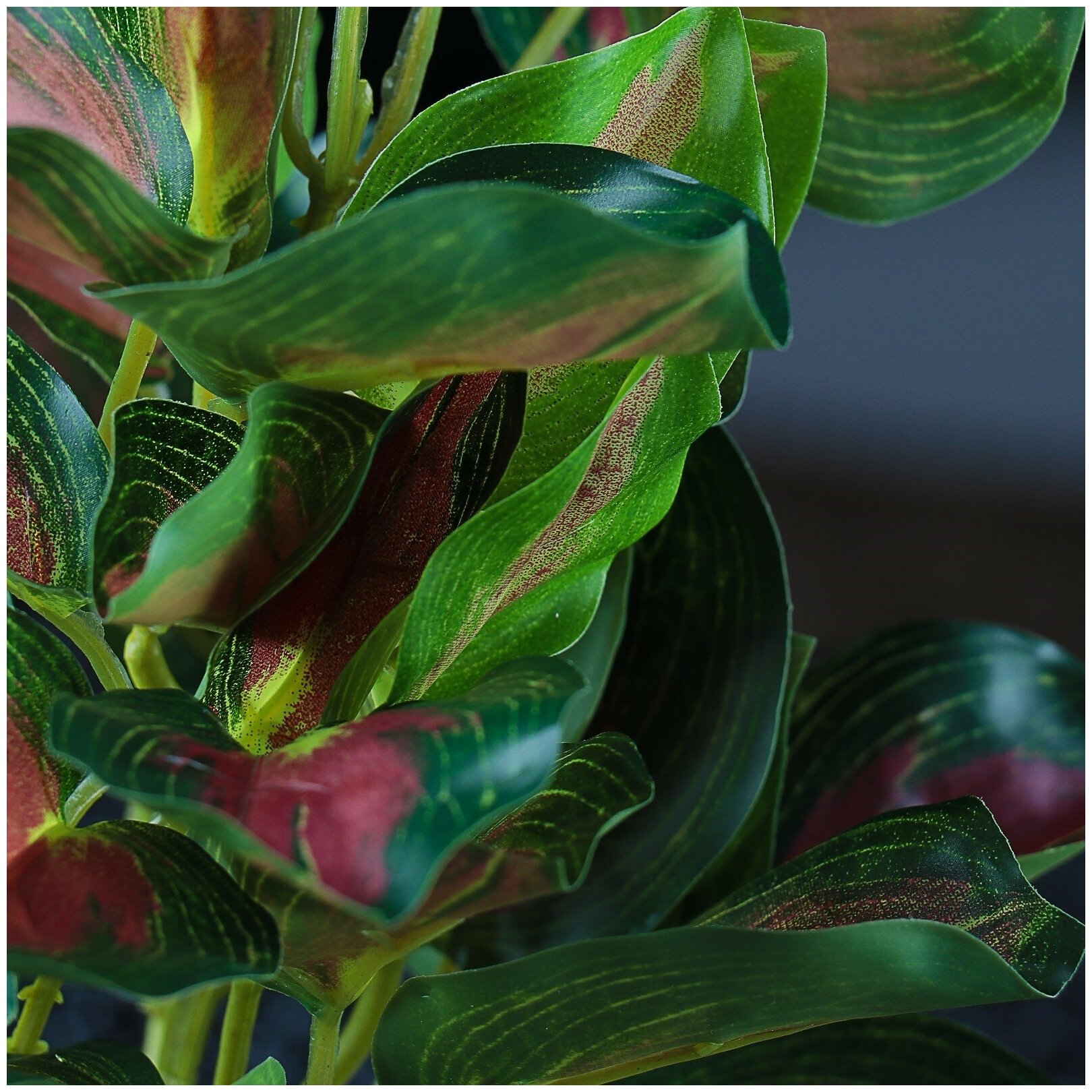 Пижон Аква Растение аквариумное "в горшочке", 31 х 23 х 19 см - фотография № 2