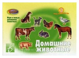 *Игр(ВеснаДизайн) Домашние животные (Д-103) (Бурдина С. В.)