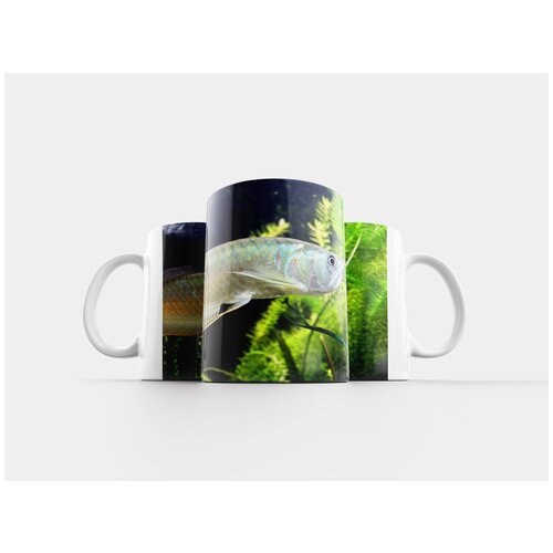 фото Кружка "серебряная арована, osteoglossum bicirrhosum, рыба" 320 мл lotsprints