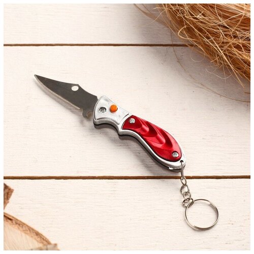 фото Нож складной, брелок "акула" 11 см, микс, рукоять пластик без бренда