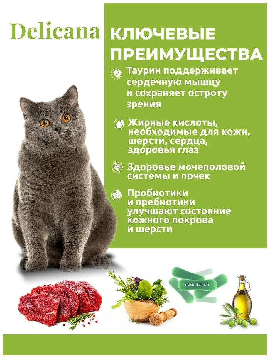 DELICANA Корм сухой для стерилизованных кошек и кастрированных котов Ягненок, 8 кг - фотография № 3