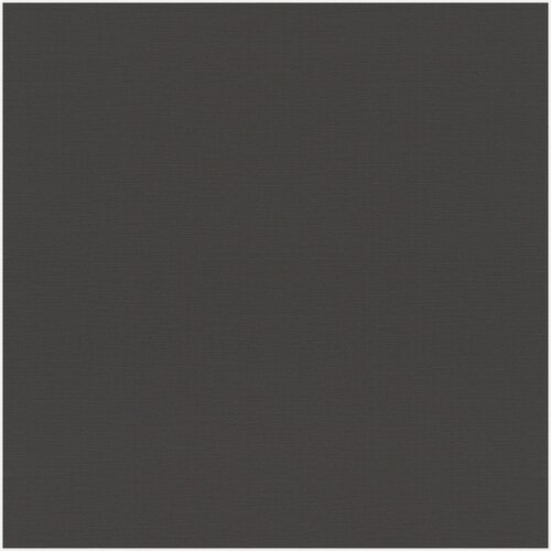 Изображение товара Обои флизелиновые Раш (Rasch) . Матовые моющиеся, однотонные черные 688023