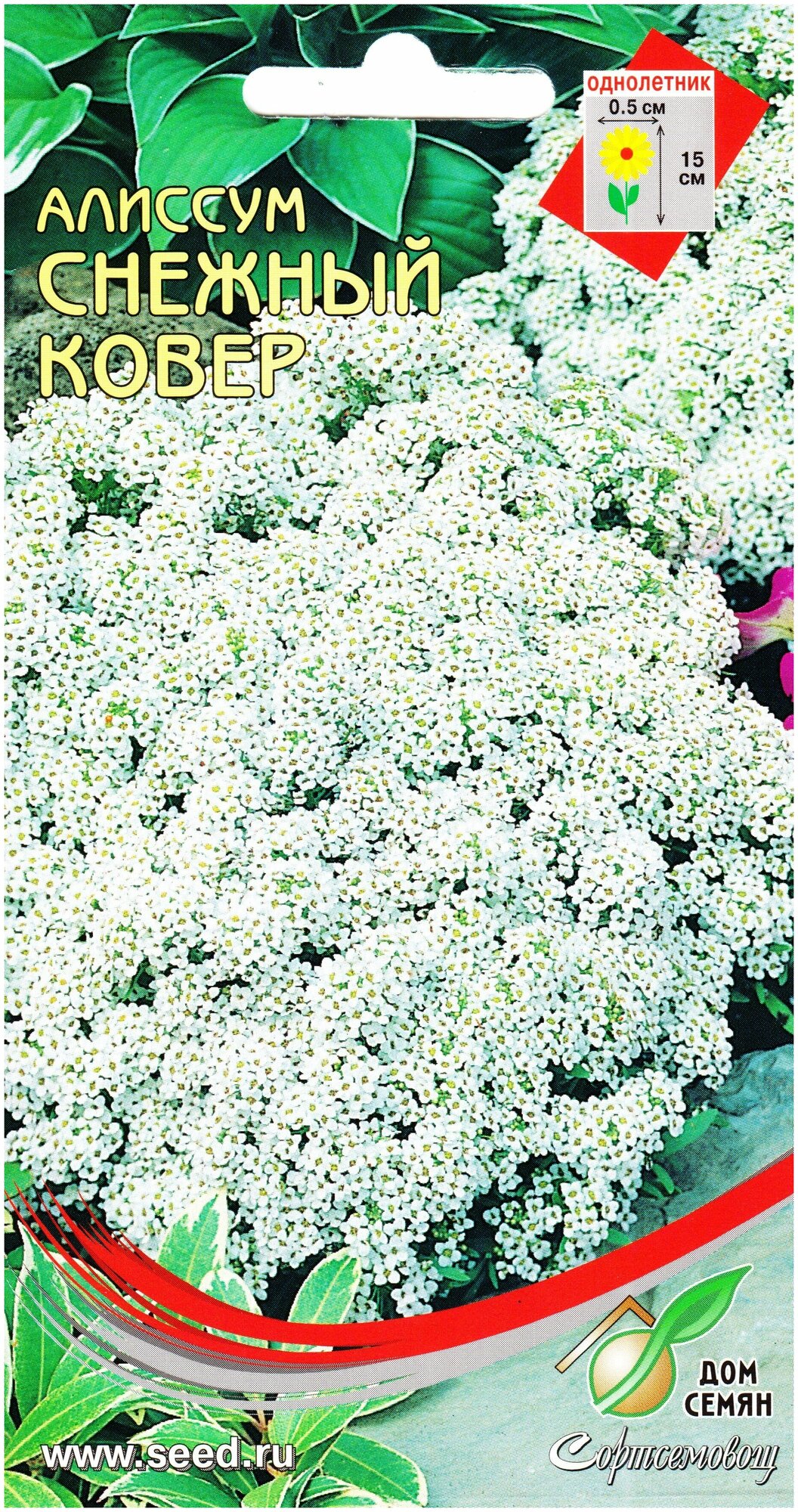 Алиссум Снежный ковер 180 семян