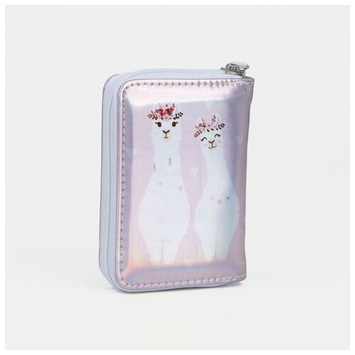 фото Кошелёк на молнии, цвет розовый gorodok