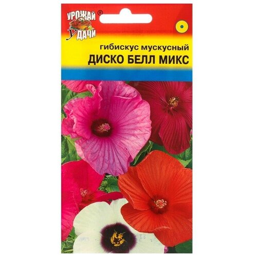 Семена цветов Гибискус Диско Белл,0,02 г 2 упаковки каркаде гибискус крупной резки 100 г