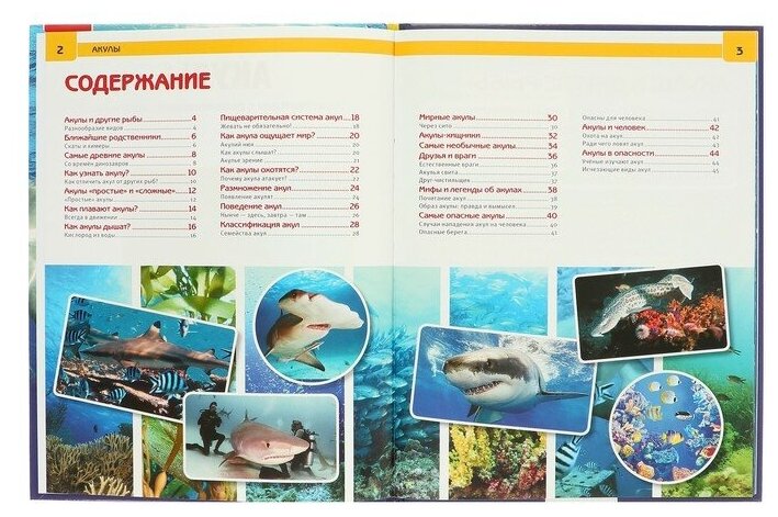 Книга Умка Энциклопедия с развивающими заданиями «Акулы» - фото №2