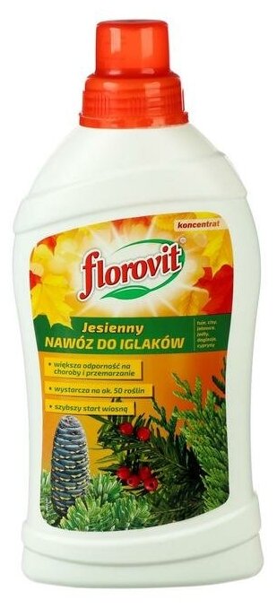 Удобрение Флоровит (Florovit) для хвойных осеннее жидкое, 1 л - фотография № 1