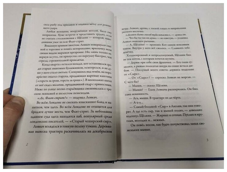 Чеширский сырный кот. Рождественская сказка в духе Чарльза Диккенса - фото №9