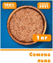 Семена Льна VegaGreen, 1000 грамм / 1 кг