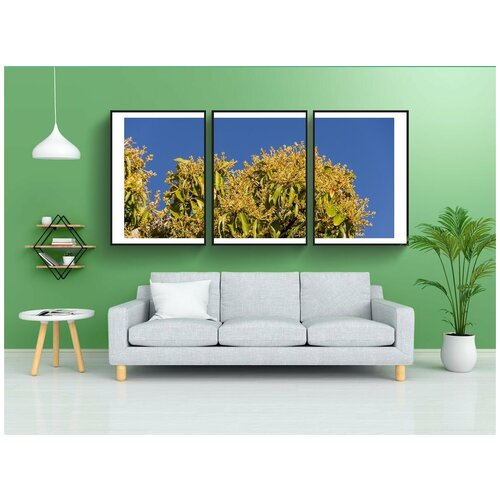 фото Набор модулных постеров для интерьера "цветок манго, цветы, желтый" 60x90 см. в тубусе, без рамки lotsprints