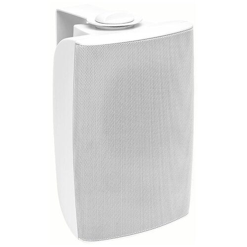Cloud СS-S6W 6 дюймовый двухполосный настенный громкогвооритель с U образным крепленим Цвет белый 3454500₽