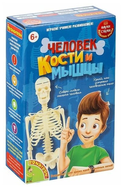 Японские опыты Науки с Буки BONDIBON, Человек. Кости и мышцы