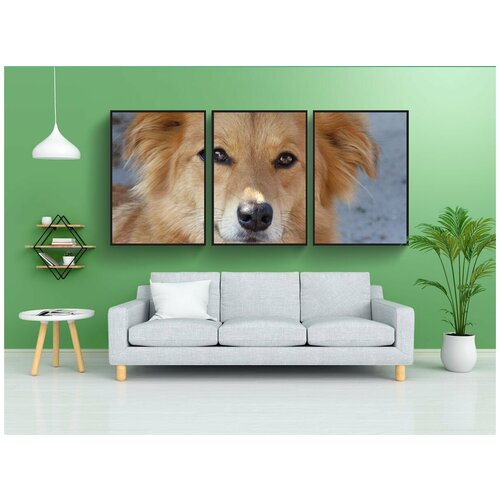 фото Набор модулных постеров для интерьера "собака, собаки, pet" 60x90 см. в тубусе, без рамки lotsprints
