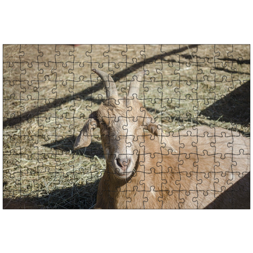 фото Магнитный пазл 27x18см."коза, животное, рога" на холодильник lotsprints