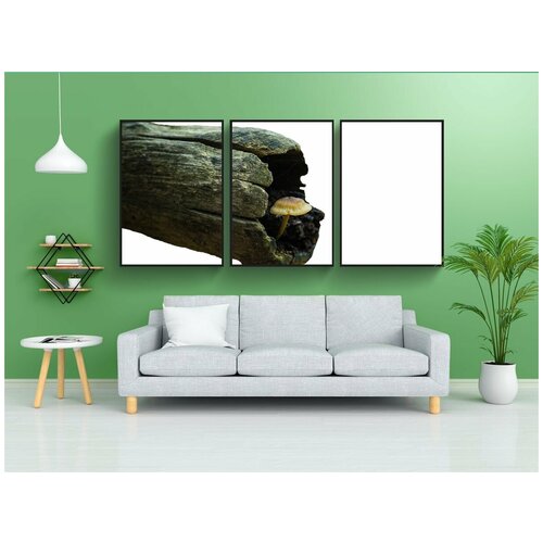 фото Набор модулных постеров для интерьера "гриб, диск грибок, лесные грибы" 60x90 см. в тубусе, без рамки lotsprints