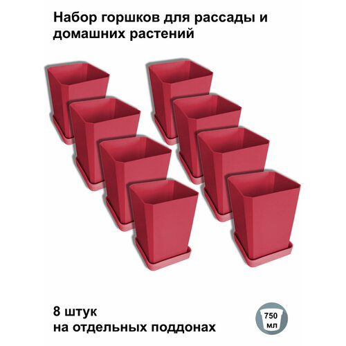 Горшки для рассады и цветов, 8 штук на отдельных поддонах, французская роза