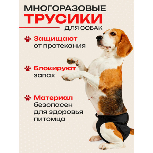Трусы для собаки во время течки многоразовые S, подгузники для собак крупных пород впитывающие